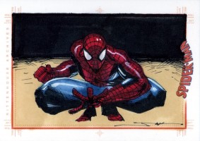 Spider-Man Archives by Jim Kyle